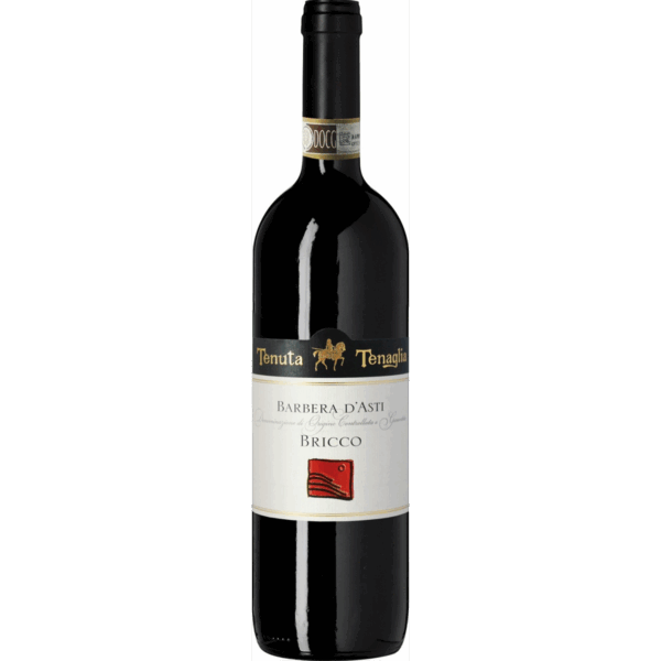 BRICCO BARBERA D'ASTI DOCG 2017